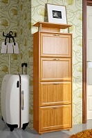 Обувница "ТО-4" 1610*600*230(340)