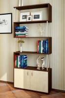 Книжные шкафы и стеллажи